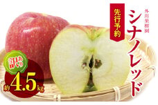 *【2025年先行予約】外川果樹園 訳あり シナノレッド 約4.5kg ｜ リンゴ りんご 林檎 果物 フルーツ 果実 果汁 シナノレッド しなのれっど わけあり 訳アリ 訳あり 長野県 松川村 信州