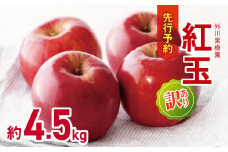 *【2025年先行予約】外川果樹園 訳あり 紅玉 約4.5kg ｜ リンゴ りんご 林檎 果物 フルーツ 果実 果汁 紅玉 こうぎょく わけあり 訳アリ 訳あり 長野県 松川村 信州