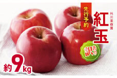 *【2025年先行予約】外川果樹園 訳あり 紅玉 約9kg｜リンゴ りんご 林檎 果物 フルーツ 果実 果汁 紅玉 こうぎょく わけあり 訳アリ 長野県 松川村 信州