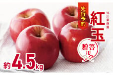 *【2025年先行予約】外川果樹園 贈答用 紅玉 約4.5kg｜リンゴ りんご 林檎 果物 フルーツ 果実 果汁 紅玉 こうぎょく ギフト 贈答用 長野県 松川村 信州