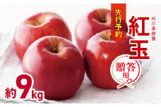 *【2025年先行予約】贈答用 紅玉 約9kg ｜外川果樹園  リンゴ りんご 林檎 果物 フルーツ 果実 果汁 紅玉 こうぎょく ギフト 贈答用 長野県 松川村 信州