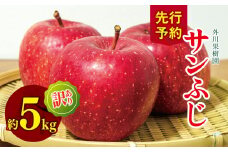  *【2025年先行予約】 外川果樹園  訳あり サンふじ 約5kg ｜ リンゴ りんご 林檎 果物 フルーツ 果実 果汁 サンふじ さんふじ 家庭用 わけあり 訳アリ 訳あり 長野県 松川村 信州