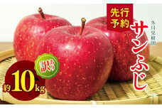 *【2025年先行予約】訳あり サンふじ 約10kg ｜ 外川果樹園 リンゴ りんご 林檎 果物 フルーツ 果実 果汁 サンふじ さんふじ わけあり 訳アリ 訳あり 長野県 松川村 信州