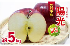 *【2025年先行予約】 外川果樹園 訳あり 陽光 約5kg ｜ リンゴ りんご 林檎 果物 フルーツ 果実 果汁 陽光 ようこう わけあり 訳アリ 長野県 松川村 信州