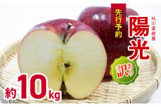 *【2025年先行予約】 外川果樹園 訳あり 陽光 約10kg ｜ リンゴ りんご 林檎 果物 フルーツ 果実 果汁 陽光 ようこう わけあり 訳アリ 長野県 松川村 信州