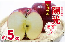 *【2025年先行予約】 外川果樹園 贈答用 陽光 約5kg ｜リンゴ りんご 林檎 果物 フルーツ 果実 果汁 陽光 ようこう ギフト 贈答用 長野県 松川村 信州