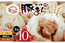 *信州産 黒豚まん入り おすすめ豚まん4種10個入りセット | まんじゅう 肉まん おやつ 豚まん 中華 セット 4種 詰め合わせ セット 長野県 松川村 信州