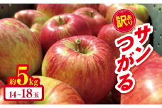 *【2025年先行予約】訳あり サンつがる 約5kg｜ やまし平林農園 リンゴ りんご 林檎 果物 フルーツ 果実 果汁 サンつがる さんつがる 家庭用 わけあり 訳アリ 長野県 松川村 信州