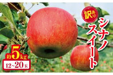 *【2025年先行予約】訳あり シナノスイート 約5kg ｜ やまし平林農園 リンゴ りんご 林檎 果物 フルーツ 果実 果汁 シナノスイート しなのすいーと 家庭用 わけあり 訳アリ 長野県 松川村 信州