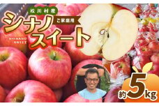 *【2025年先行予約】北條農園 家庭用 シナノスイート 約5kg  | 家庭用 果物類 林檎 りんご リンゴ シナノスイート シナノ3兄弟 家庭用 長野県 松川村 まつかわ 長野 信州