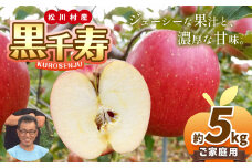 *【2025年先行予約】北條農園 家庭用 黒千寿 約5kg ｜ 果物類 林檎 りんご リンゴ 黒千寿 大きい 甘い 日持ち 家庭用 長野県 松川村 まつかわ 長野 信州