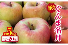 *【2025年先行予約】やまし平林農園 訳あり ぐんま名月 約5kg ｜ リンゴ りんご 林檎 果物 フルーツ 果実 果汁 ぐんま名月 ぐんまめいげつ 家庭用 わけあり 訳アリ 長野県 松川村 信州