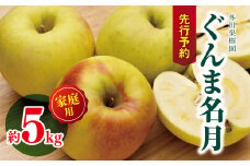 *【2025年先行予約】 外川果樹園 家庭用 ぐんま名月 約5kg ｜ リンゴ りんご 林檎 果物 フルーツ 果実 果汁 ぐんま名月 ぐんまめいげつ 家庭用 長野県 松川村 信州