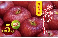 *【2025年先行予約】外川果樹園 訳あり シナノスイート 約5kg｜リンゴ りんご 林檎 果物 フルーツ 果実 果汁 シナノスイート しなのすいーと わけあり 訳アリ 訳あり 長野県 松川村 信州