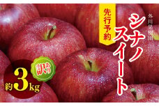 *【2025年先行予約】外川果樹園 訳あり シナノスイート 家庭用 約3kg ｜ リンゴ りんご 林檎 果物 フルーツ 果実 果汁 シナノスイート しなのすいーと わけあり 訳アリ 訳あり 長野県 松川村