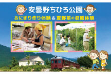 *安曇野ちひろ公園おにぎり作り体験＆夏野菜の収穫体験 | 野菜 野菜収穫  体験 収穫体験 体験農園 おにぎり おにぎり作り 安曇野ちひろ公園 自然  家族 チケット