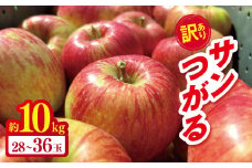 *【2025年先行予約】訳あり サンつがる 約10kg ｜ やまし平林農園 リンゴ りんご 林檎 果物 フルーツ 果実 果汁 サンつがる サンツガル さんつがる 家庭用 訳アリ わけあり 長野県 松川村 信州