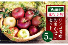 【9月限定】訳あり リンゴ満喫おまかせセット 約 5kg | ヤマモ農園 果物 フルーツ 果実 りんご 林檎 リンゴ セット 訳あり 長野県 松川村 信州