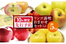 【2025年10月限定先行予約】 ヤマモ農園 訳あり リンゴ満喫おまかせセット 約 5kg | 果物 フルーツ 果実 りんご 林檎 リンゴ セット 食べ比べ 訳あり 長野県 松川村 信州