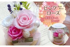 ピンクローズ:ガラスドームアレンジ ｜ 雑貨 日用品 インテリア ギフト 花 苗木 プリザーブドフラワー ガラスドーム ガーデンローズナナ バラ ミニバラ アジサイ カスミソウ ティーツリー ラベンダー 長野県 松川村 信州 誕生日 ご褒美