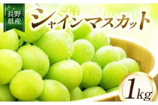 【2025年先行予約】ちのふぁーむ シャインマスカット1㎏ | 果物 ぶどう 葡萄 シャインマスカット フルーツ 果物 デザート 食後 おやつ 果汁 ジューシー 皮ごと 日本産 国産 産地直送 長野県 松川村 信州