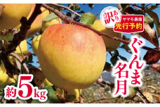 *【2025年先行予約】 訳ありぐんま名月 約5kg | ヤマモ農園 果物 フルーツ 訳あり りんご リンゴ 林檎 ぐんま名月 訳あり 長野県 松川村 信州
