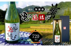 日本酒 自然栽培米 天日干し 亀の尾100％使用 「亀の福結び」 | 日本酒 蔵出し無濾過原酒 地酒 自然栽培米 天日干し 亀の尾 お酒 酒 さけ サケ アルコール 飲料 贈り物 ギフト 長野県 松川村 信州 北アルプス