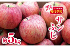 【2025年先行予約】 訳ありサンふじ 約5kg | ヤマモ農園 果物 フルーツ りんご リンゴ 林檎 サンふじ 訳あり 長野県 松川村 信州