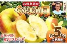 【2025年先行予約】北條農園 家庭用 ぐんま名月 5kg ｜ リンゴ りんご 林檎 果物 フルーツ 果実 果汁 ぐんま名月  家庭用 長野県 松川村 信州