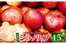 【2025年先行予約】東印平林農園 シナノリップ 約4kg～4.5kg ｜ リンゴ りんご 林檎 果物 くだもの フルーツ 果実 果汁 シナノリップ エコファーマー 長野県 松川村 信州
