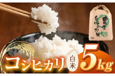 【令和7年度産先行予約】浅野農園 コシヒカリ 精米 5kg | 米 お米 コメ こめ 精米 白米 はくまい コシヒカリ こしひかり 長野県 松川村 信州