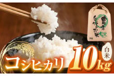 【令和7年度産先行予約】浅野農園 コシヒカリ 精米 10kg | 米 お米 コメ こめ 精米 白米 はくまい コシヒカリ こしひかり 長野県 松川村 信州