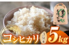 【令和7年度産先行予約】浅野農園 コシヒカリ 3分米 5kg | 米 お米 コメ こめ 3分米 白米 はくまい コシヒカリ こしひかり 長野県 松川村 信州