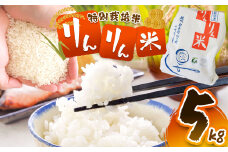 【令和7年度産先行予約】夢ふぁーむTOYA コシヒカリ りんりん米 5kg | 米 お米 コメ こめ コシヒカリ りんりん米 白米 はくまい 特別栽培米 おにぎり 長野県 松川村 北アルプス 信州