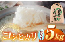 【令和7年度産先行予約】浅野農園 コシヒカリ 無洗米 5kg | 米 お米 コメ こめ 無洗米 白米 はくまい コシヒカリ こしひかり 長野県 松川村 信州
