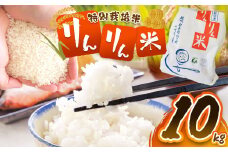 【令和7年度産先行予約】夢ふぁーむTOYA コシヒカリ りんりん米 10kg | 米 お米 コメ こめ コシヒカリ りんりん米 白米 はくまい 特別栽培米 おにぎり 長野県 松川村 北アルプス 信州
