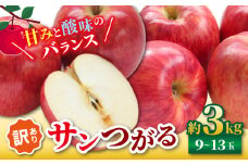 【2025年先行予約】浅野農園 訳あり サンつがる 3kg ｜ リンゴ りんご 林檎 果物 くだもの フルーツ 果実 果汁サンつがる さんつがる 訳あり 長野県 松川村 信州
