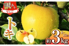 【2025年先行予約】浅野農園 訳あり トキ 3kg ｜ リンゴ りんご 林檎 果物 くだもの フルーツ 果実 果汁トキ 訳あり 長野県 松川村 信州
