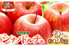 【2025年先行予約】浅野農園 訳あり シナノドルチェ 3kg ｜ リンゴ りんご 林檎 果物 くだもの フルーツ 果実 果汁シナノドルチェ 訳あり 長野県 松川村 信州