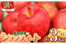 【2025年先行予約】浅野農園 訳あり シナノスイート 3kg ｜ リンゴ りんご 林檎 果物 くだもの フルーツ 果実 果汁シナノスイート 訳あり 長野県 松川村 信州