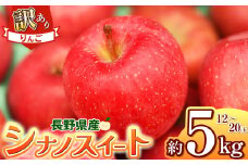 【2025年先行予約】訳あり シナノスイート 5kg ｜ 浅野農園 リンゴ りんご 林檎 果物 くだもの フルーツ 果実 果汁シナノスイート 訳あり 長野県 松川村 信州