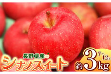 【2025年先行予約】浅野農園 松川村産 シナノスイート 3kg ｜ リンゴ りんご 林檎 果物 くだもの フルーツ 果実 果汁シナノスイート 長野県 松川村 信州