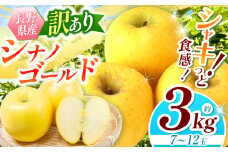 【2025年先行予約】浅野農園 訳あり シナノゴールド 3kg ｜ リンゴ りんご 林檎 果物 くだもの フルーツ 果実 果汁 シナノゴールド 訳あり 長野県 松川村 信州