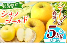 【2025年先行予約】浅野農園 シナノゴールド 5kg ｜ リンゴ りんご 林檎 果物 くだもの フルーツ 果実 果汁 シナノゴールド 長野県 松川村 信州