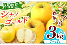 【2025年先行予約】浅野農園 シナノゴールド 3kg ｜ リンゴ りんご 林檎 果物 くだもの フルーツ 果実 果汁 シナノゴールド 長野県 松川村 信州 北アルプス