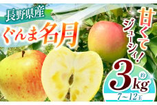 【2025年先行予約】浅野農園 ぐんま名月 3kg ｜ リンゴ りんご 林檎 果物 くだもの フルーツ 果実 果汁 ぐんま名月 長野県 松川村 信州 北アルプス