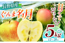 【2025年先行予約】浅野農園 ぐんま名月 5kg ｜ リンゴ りんご 林檎 果物 くだもの フルーツ 果実 果汁 ぐんま名月 長野県 松川村 信州 北アルプス