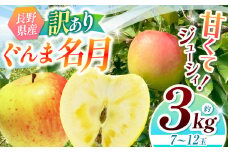 【2025年先行予約】浅野農園 訳あり ぐんま名月 3kg ｜ リンゴ りんご 林檎 果物 くだもの フルーツ 果実 果汁 訳あり ぐんま名月 長野県 松川村 信州 北アルプス