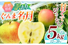 【2025年先行予約】浅野農園 訳あり ぐんま名月 5kg ｜ リンゴ りんご 林檎 果物 くだもの フルーツ 果実 果汁 訳あり ぐんま名月 長野県 松川村 信州 北アルプス