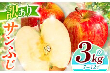【2025年先行予約】浅野農園 訳あり サンふじ 3kg ｜ リンゴ りんご 林檎 果物 くだもの フルーツ 果実 果汁 訳あり サンふじ 長野県 松川村 信州 北アルプス